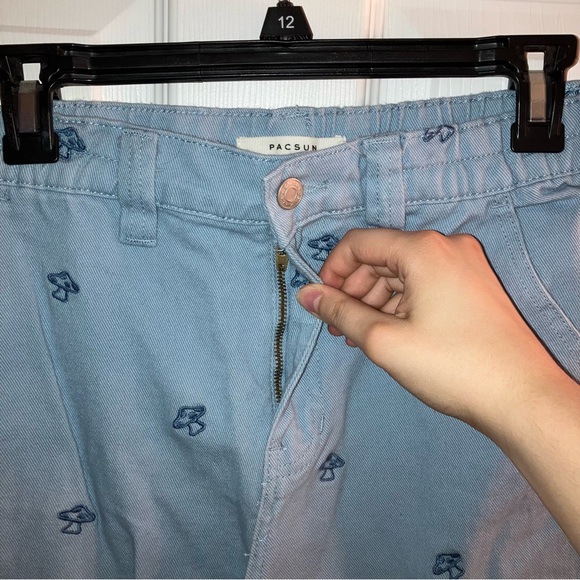 Pacsun Mushroom-Embroidered Baggy Cargo Pants - Picture 6 of 9